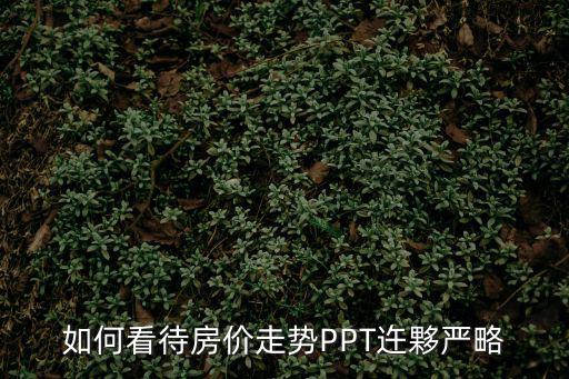 如何看待房價(jià)走勢PPT迕夥嚴(yán)略