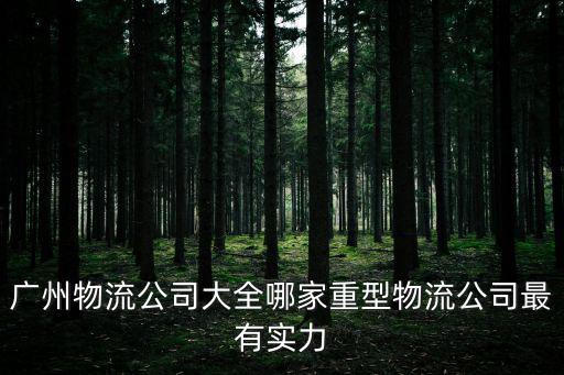 廣州物流公司大全哪家重型物流公司最有實力