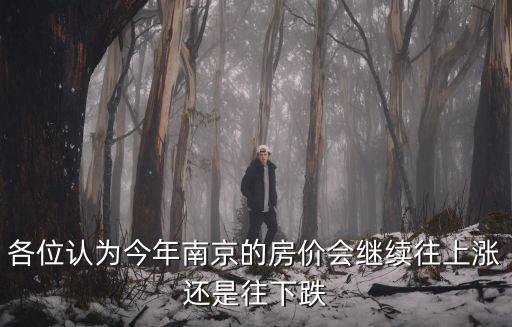如何看待南京最新房價趨勢，現在南京房價怎么樣