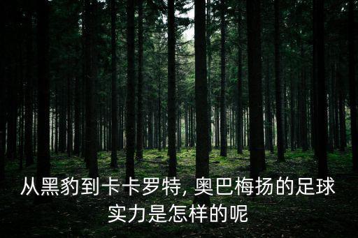 從黑豹到卡卡羅特, 奧巴梅揚的足球實力是怎樣的呢