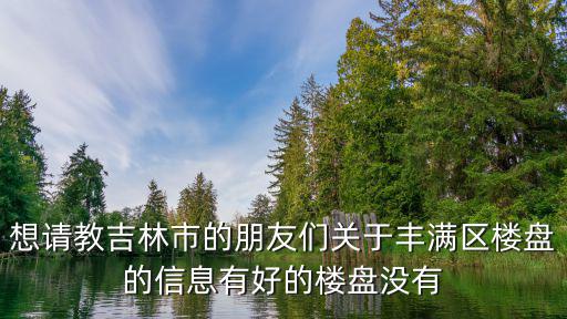 想請教吉林市的朋友們關(guān)于豐滿區(qū)樓盤的信息有好的樓盤沒有