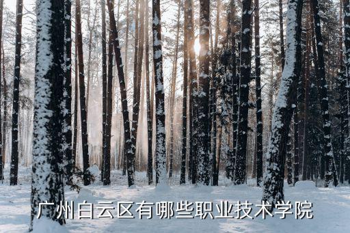 廣州白云區有哪些職業技術學院