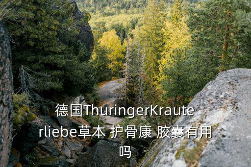 德國(guó)ThuringerKrauterliebe草本 護(hù)骨康 膠囊有用嗎