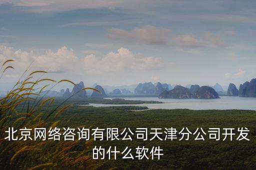 北京網絡咨詢有限公司天津分公司開發的什么軟件