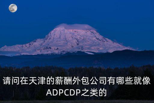 請問在天津的薪酬外包公司有哪些就像ADPCDP之類的