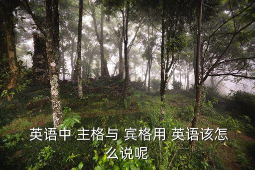 英語(yǔ)主格賓格,英國(guó)主格賓格所有格列表如下: