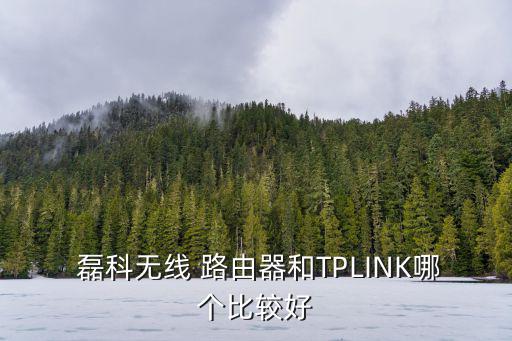 磊科路由器怎么樣,無線增強型路由器
