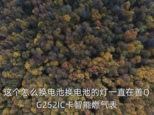 這個怎么換電池換電池的燈一直在善QG252IC卡智能燃氣表
