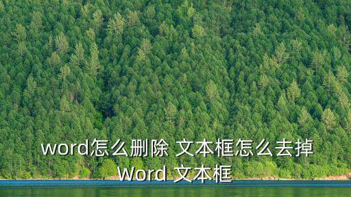 word文本框,點擊進入文本框只能刪除文本而不能添加框架