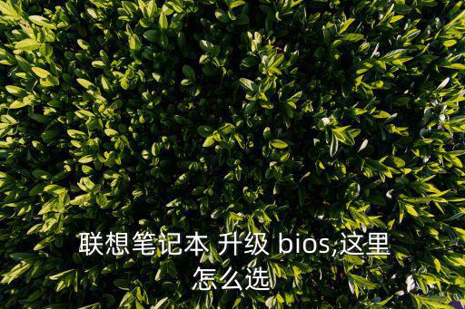 聯想bios升級,如何下載winflashbios最新版?