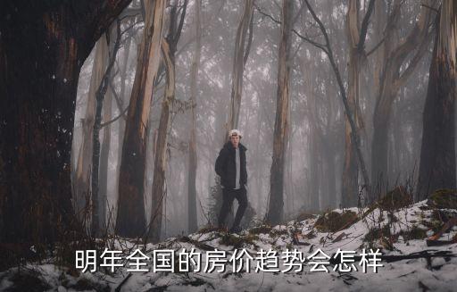 明年全國(guó)的房?jī)r(jià)趨勢(shì)會(huì)怎樣