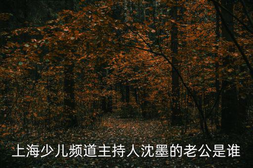 上海少兒頻道主持人沈墨的老公是誰