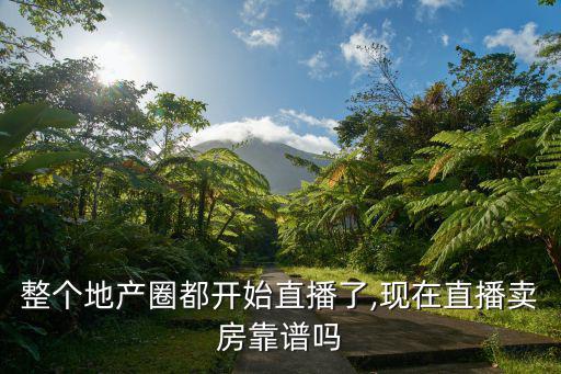 售房圖片,直播賣房很靠譜!可通過視覺直接看到房屋狀態(tài)