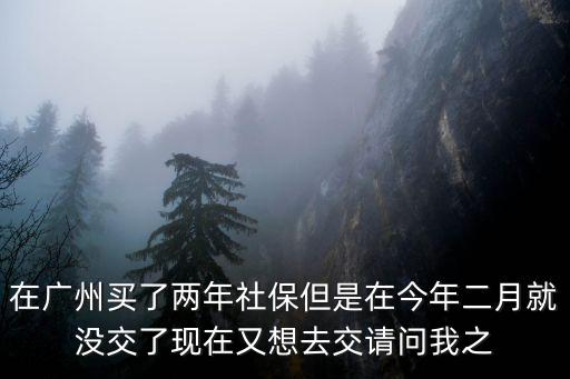 在廣州買(mǎi)了兩年社保但是在今年二月就沒(méi)交了現(xiàn)在又想去交請(qǐng)問(wèn)我之