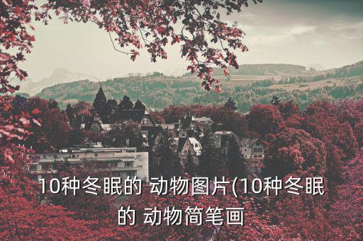 10種冬眠的 動物圖片(10種冬眠的 動物簡筆畫