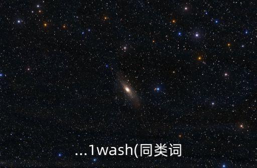 ...1wash(同類詞