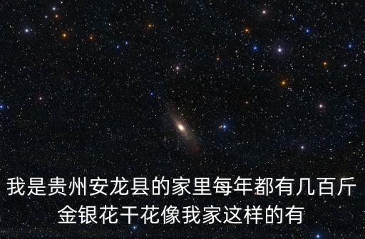 我是貴州安龍縣的家里每年都有幾百斤金銀花干花像我家這樣的有
