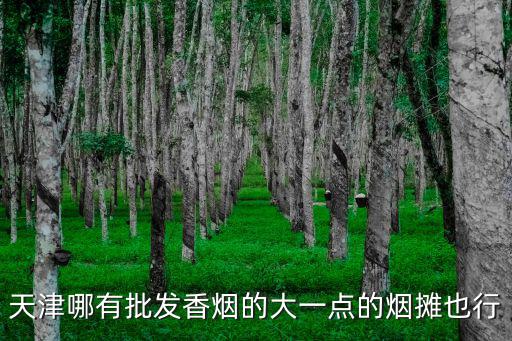 天津哪有批發香煙的大一點的煙攤也行