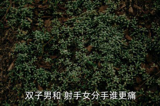  雙子男和 射手女分手誰更痛