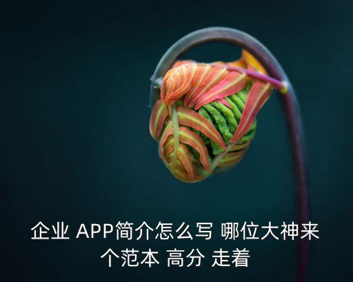 企業 APP簡介怎么寫 哪位大神來個范本 高分 走著
