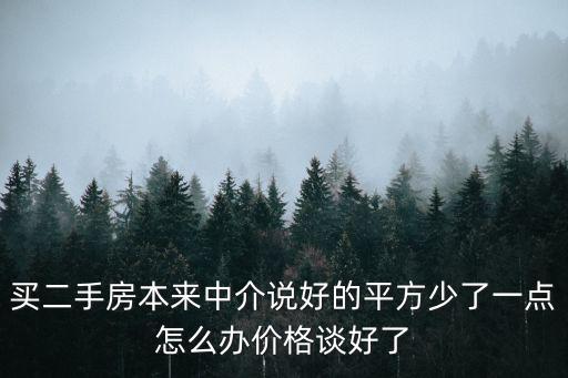買二手房本來中介說好的平方少了一點怎么辦價格談好了