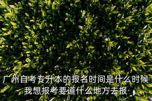 廣州自考專升本的報名時間是什么時候我想報考要道什么地方去報