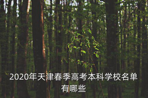 2020年天津春季高考本科學校名單有哪些