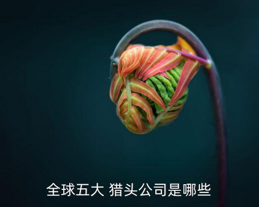 五大獵頭公司,中國獵頭公司排名出爐什么樣的?