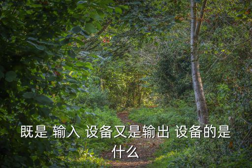輸入設備,電腦輸入設備按功能分為以下幾類