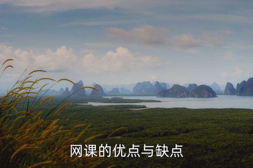 網絡授課,非全日制研究生課程優缺點:網絡授課不能及時反饋
