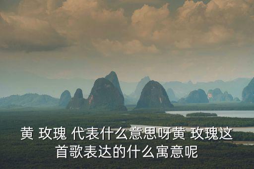 黃 玫瑰 代表什么意思呀黃 玫瑰這首歌表達的什么寓意呢