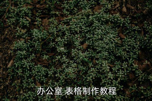  辦公室 表格制作教程