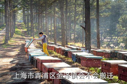 青浦金澤發展規劃，青浦區金澤鎮動遷