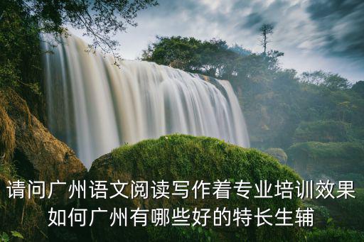 廣州四年級語文培訓，請問廣州語文閱讀寫作著專業(yè)培訓效果如何廣州有哪些好的特長生輔