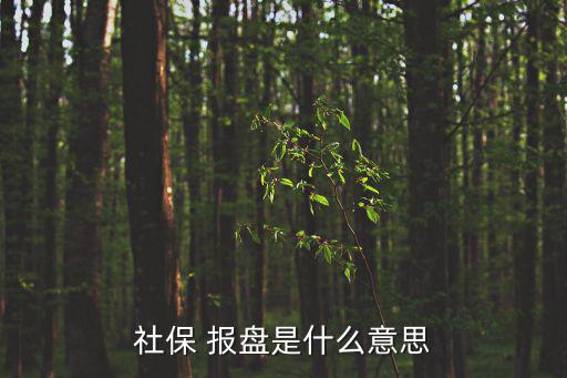 報(bào)盤,如何接受法律咨詢?