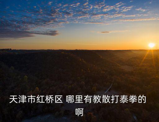 天津市紅橋區(qū) 哪里有教散打泰拳的 啊