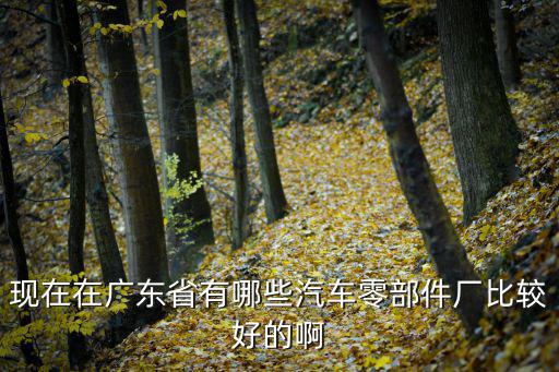 現在在廣東省有哪些汽車零部件廠比較好的啊