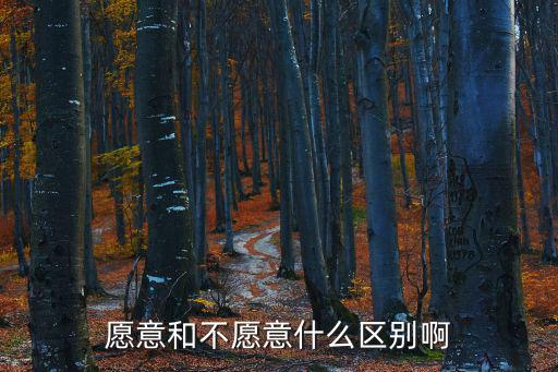 愿意和不愿意什么區別啊