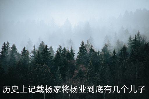歷史上記載楊家將楊業(yè)到底有幾個(gè)兒子