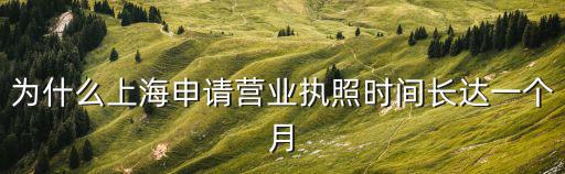 為什么上海申請營業執照時間長達一個月