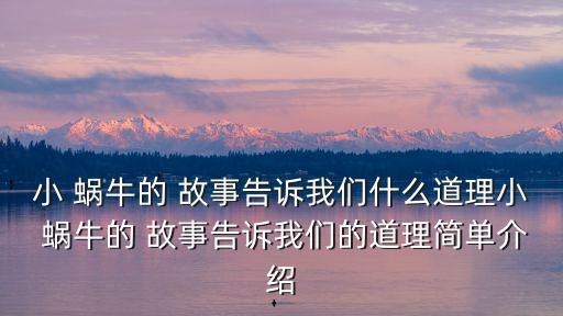 蝸牛的故事,多學習不要像蝸牛一樣錯過花草和蘑菇