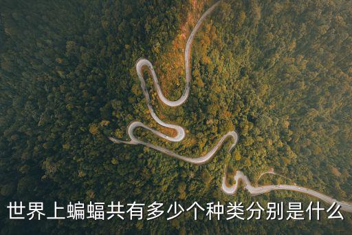 世界上蝙蝠共有多少個種類分別是什么