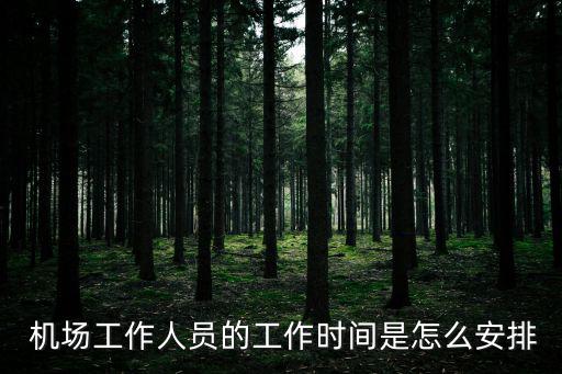  機場工作人員的工作時間是怎么安排