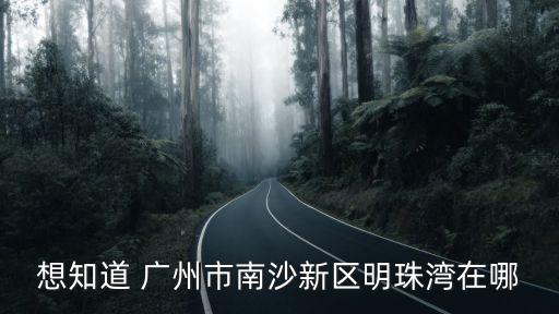 想知道 廣州市南沙新區明珠灣在哪