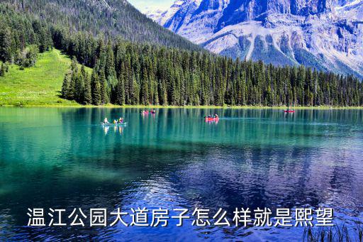 安慶望江縣未來房價如何，溫江公園大道房子怎么樣就是熙望