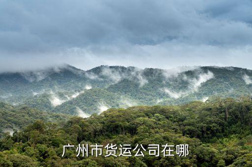 廣州市貨運公司在哪