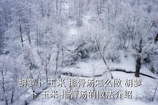  胡蘿卜 玉米 排骨湯怎么做 胡蘿卜 玉米 排骨湯的做法介紹