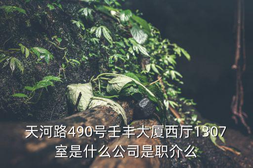 天河路490號壬豐大廈西廳1307室是什么公司是職介么