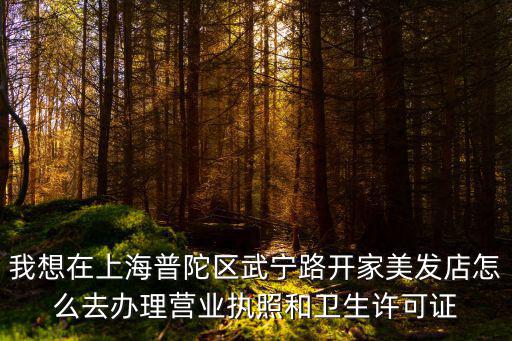 我想在上海普陀區(qū)武寧路開家美發(fā)店怎么去辦理營業(yè)執(zhí)照和衛(wèi)生許可證
