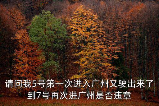 請問我5號第一次進入廣州又駛出來了到7號再次進廣州是否違章